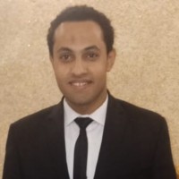 Ahmed AbdElHakim