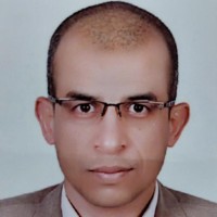 Mostafa Abel-Aziz M.