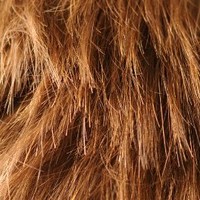 santiago ELCOLORADO martinez natale