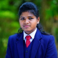 Sreekutty P V