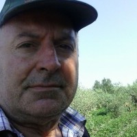 ANGELO LAUDANI