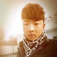 卜林康