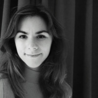 Lisanne Van Meel