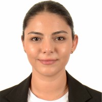 Zeynep Büyükelçi