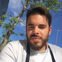 Elia Mozzicato