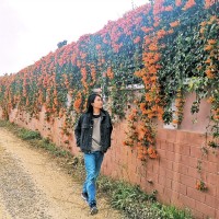 Naung Naung