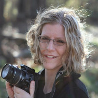 Julie Nelson