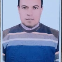 Elsayed Mohamed Ali Abd Elnaby