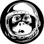 SPACE MONKEY