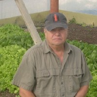 Bob M.