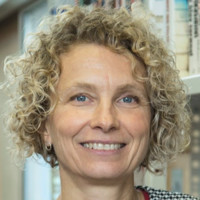 Trine Lindegaard Holmberg