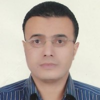 Mohamed abdelhadi