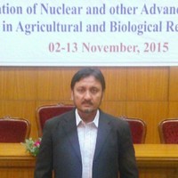 Ghulam Haider balti