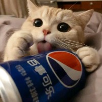 张梓钰