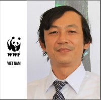 Quoc Nguyenanh