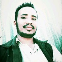 moges haile