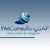 pmconsulting sap