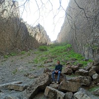 Farshad Bahrami