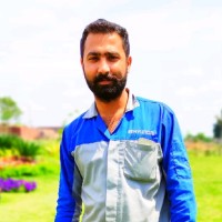 Zulfiqar Ali