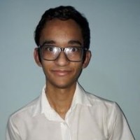 Vinicius Simões Ramos