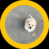Chengya Qian
