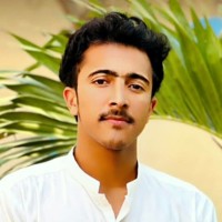 Naveed Ul Hassan