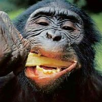 Jose Manuel Que Mas Da