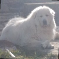 Emilio Millan Lazaro