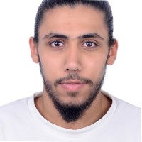 Ahmed Tamer
