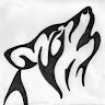 Grey wolf