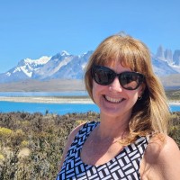 Carolyn Mcdermott