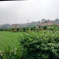 Pushpak Biswas