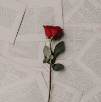 محمد الكثيري