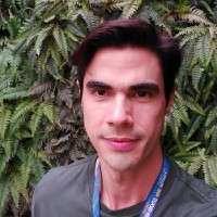 Luiz Henrique Rodrigues