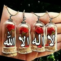 ياسر المصري