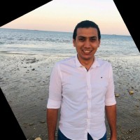 Ahmed Sehrawy