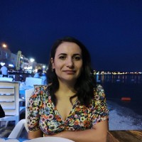 fazilet kavak üstün