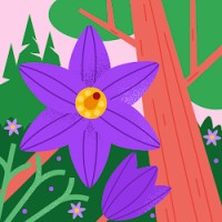 Carol Amary