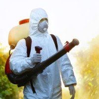 Alessandro Cicillini