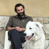 Andrea Bischèri