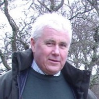 Dave Robb