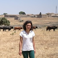 Susana Martin Criado