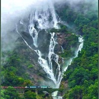 Nagaraj Mallanagowdru