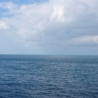 Emma Seaborn Seaborn