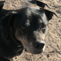 Christian Weatherspoon