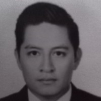 Jose Luis Flores Flores