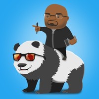 Ronaldo Domingos Junior