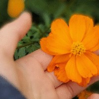 朱少华