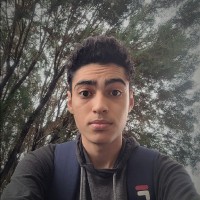 Bruno Moreira