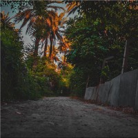 ساره الدوسري